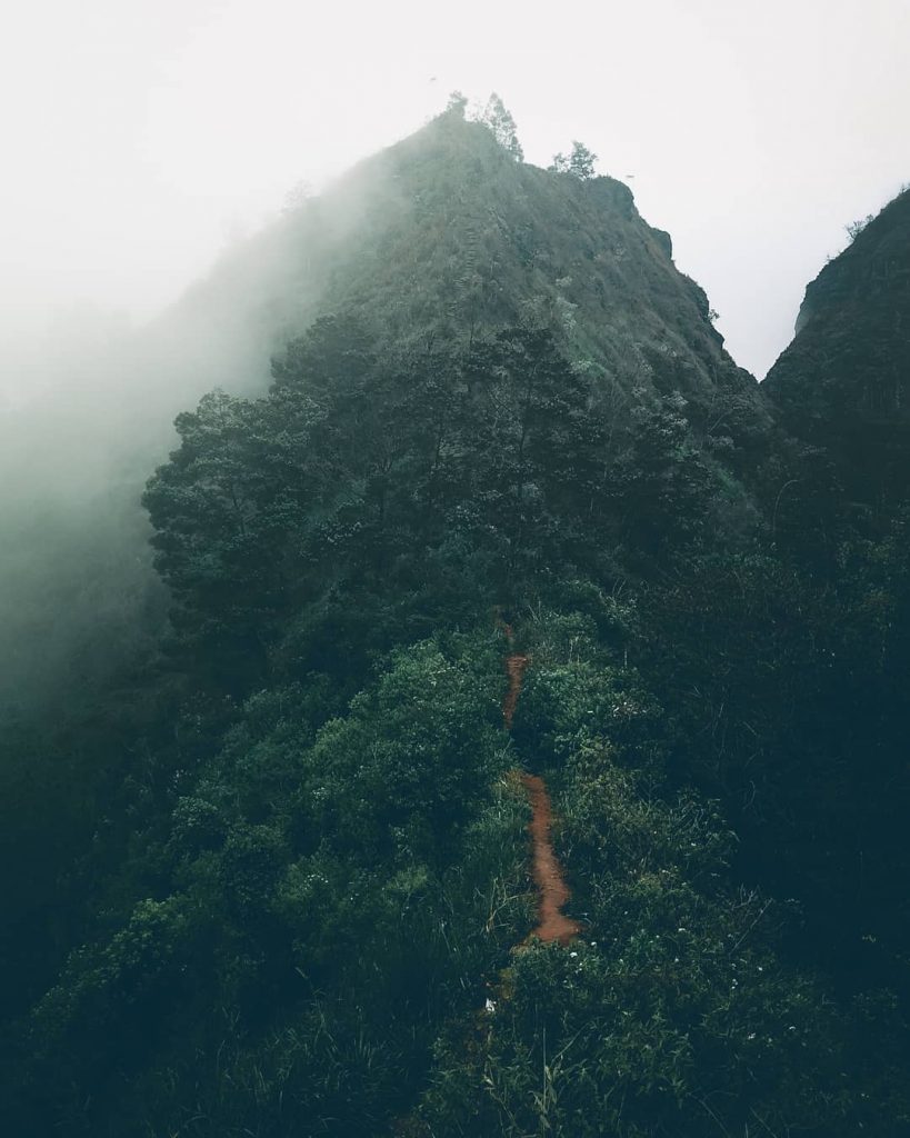 Menjajal Terjalnya Trek Pendakian Di Gunung Lawangan