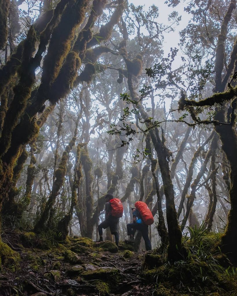 Menaklukkan Gunung Latimojong Puncak Tertinggi Di Sulawesi Selatan