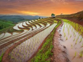 Airbnb Perkenalkan Fitur “Perjalanan Airbnb” di Bali