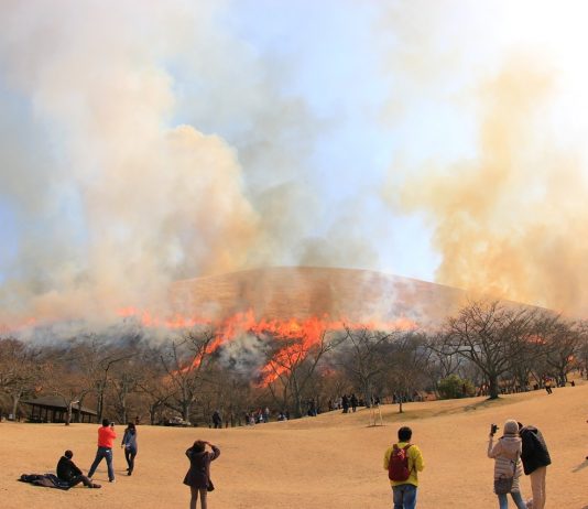Wakakusa Yamayaki, Jepang