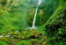 10 Atraksi Wisata Seru di Malang