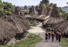4 Aktivitas Seru di Sumba Barat