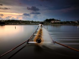 Seafood Savers Dorong Tembus Pasar Global