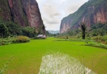 Sehari di Payakumbuh