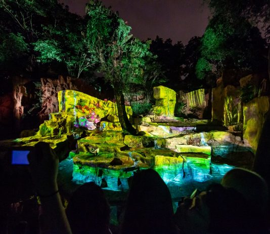 Rainforest Lumina, Atraksi Baru di Singapore Zoo