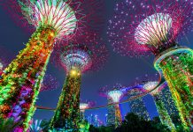 Gardens by the Bay Selenggarakan Festival Bunga Selama Dua Pekan