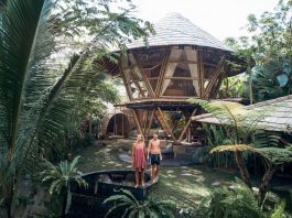 Bermain Bersama Alam di Hideout Beehive