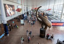 Bandara Internasional Brussels Terbaik di Ajang World Routes Marketing Awards