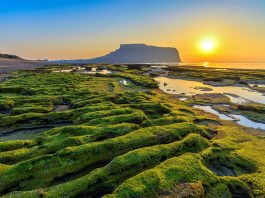 10 Rute Penerbangan Terpopuler di Dunia