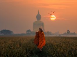 Negara Ini Pikat Produser Film Asing dengan Insentif Pajak