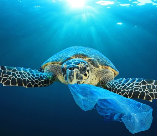 Aksi Global Mengurangi Sampah Plastik