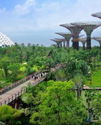 Kota Tersehat di Asia Pasifik yang Layak Ditinggali