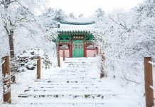 5 Festival Musim Dingin Terbaik di Korea Selatan