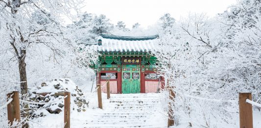 5 Festival Musim Dingin Terbaik di Korea Selatan
