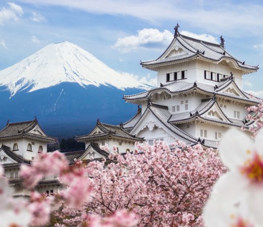 3 Tempat “Antimainstream” & Gratis untuk Nikmati Sakura