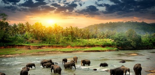 Sri Lanka, Destinasi Nomor Satu di 2019