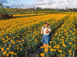 Indonesia Masuk Daftar 10 Negara Paling Instagrammable 2019