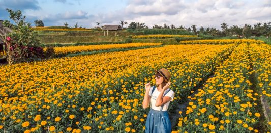 Indonesia Masuk Daftar 10 Negara Paling Instagrammable 2019