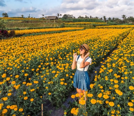 Indonesia Masuk Daftar 10 Negara Paling Instagrammable 2019