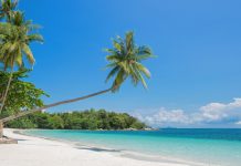 Voyager of the Seas Bersandar di Bintan