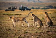 10 Petualangan Seru yang Wajib Masuk Bucket List