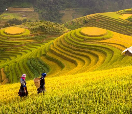 Vietnam, Tujuan Wisata dengan Pertumbuhan Tercepat di Asia Pasifik