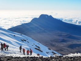 Kontroversi Kereta Gantung di Kilimanjaro