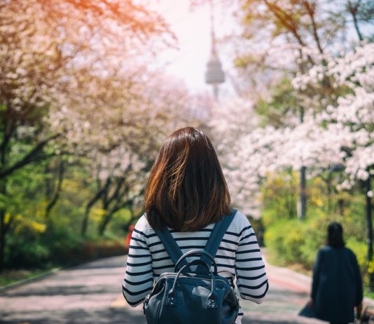 Inilah Waktu Terbaik Kunjungi Korea Sebagai Tujuan Wisata Halal