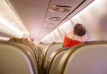 Tip Terbang Saat Musim Dingin