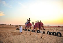 Selain Safari, Ini 4 Aktivitas Seru Lainnya di Gurun Dubai