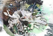 Sambut Olimpiade 2020, Alibaba Luncurkan Galeri Seni Digital di Bandara Narita