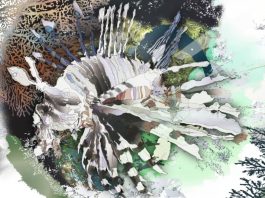 Sambut Olimpiade 2020, Alibaba Luncurkan Galeri Seni Digital di Bandara Narita