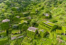 Desa Cantik di Tiongkok Ini Berselimutkan Tanaman Rambat!