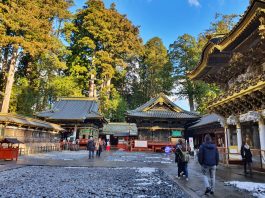 Bertemu Tiga Kera Bijak di Toshogu Shrine