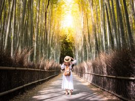 Beli Tiket di BNI Japan Airlines Travel Fair Bisa Cashback hingga Rp 3,5 Juta