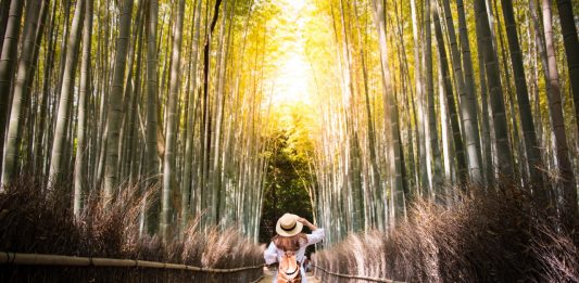 Beli Tiket di BNI Japan Airlines Travel Fair Bisa Cashback hingga Rp 3,5 Juta