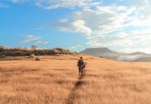 Bukan Hanya di Sumba, Garut Juga Punya Padang Rumput Cantik