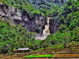 Siap-siap! Geopark Run Series 2020 Akan Diadakan di 4 Lokasi