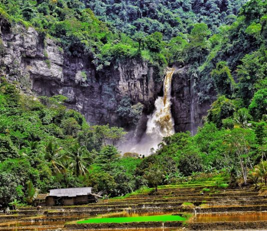 Siap-siap! Geopark Run Series 2020 Akan Diadakan di 4 Lokasi