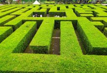 Tersesat di Labirin Coban Rondo