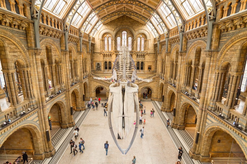 Liburan ke London? Ini 7 Museum yang Tiket Masuknya Gratis ...