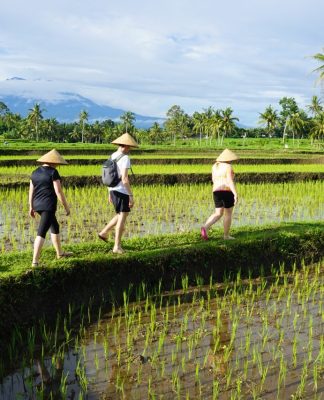 Surga Tersembunyi di Banyuwangi Selain Ijen dan Alas Purwo