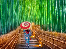 Kyoto Sepi, Pengunjung Bisa Puas Berwisata di Destinasi Populer