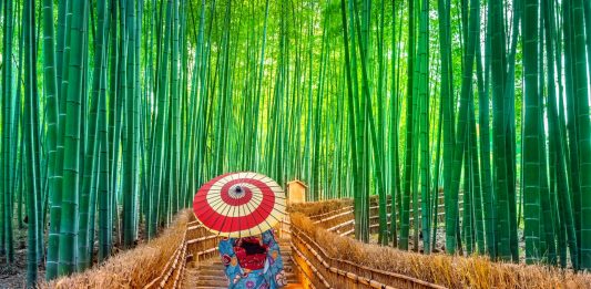 Kyoto Sepi, Pengunjung Bisa Puas Berwisata di Destinasi Populer