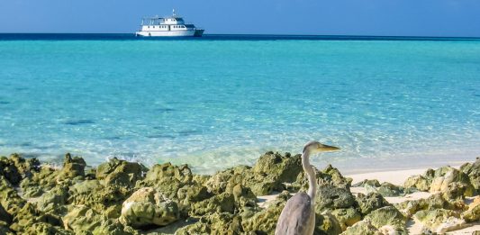 Juli 2020, Ada Resor Baru di Maladewa