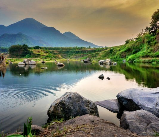 Viral, Padang Rumput ala Jurassic Park di Mojokerto