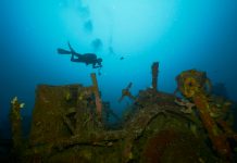 Menyelam di Morotai, Bisa Temukan Bangkai Pesawat Perang Dunia