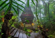 Hutan di Bedugul Menyimpan Rumah Batak Berusia 150 Tahun