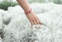 Ini Dia 3 Taman Tercantik di Bali, Sudah Pernah ke Sini?