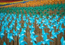 Bagai Taman Bunga, Hamparan Kincir Angin di Batu Ini Tampil Warna-warni